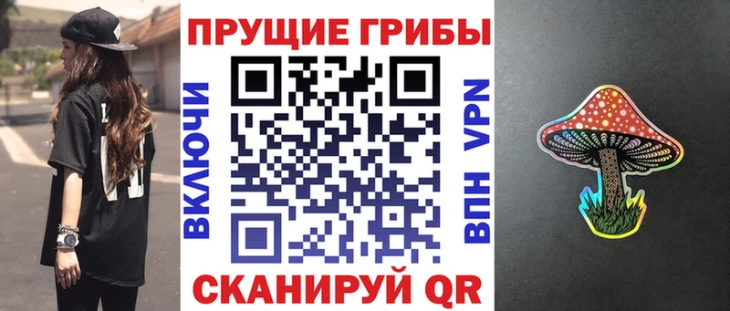 kraken маркетплейс  где найти   Чусовой  Псилоцибиновые грибы Cubensis 