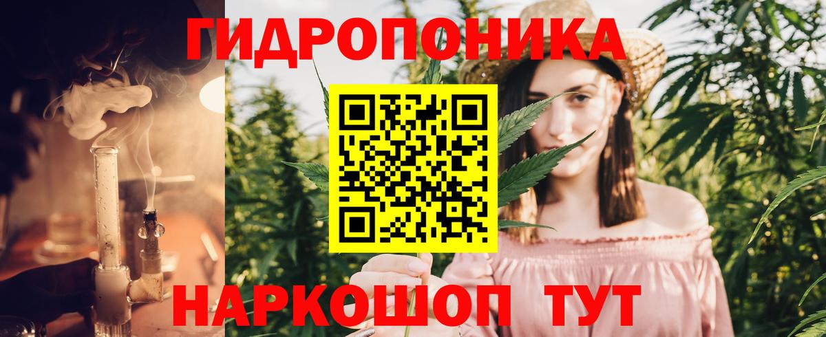 Каннабис план Чусовой